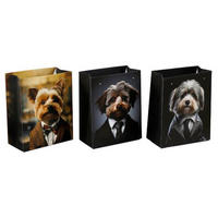 PUNGĂ PENTRU CADOU  - multicolor/negru, Basics, hârtie (26,0/33,0/13,0cm)
