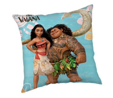 DEKORAČNÍ POLŠTÁŘ 40/40 cm