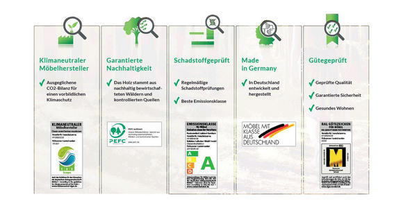 WOHNWAND Asteiche massiv Schlammfarben, Eichefarben - Schlammfarben/Eichefarben, Natur, Glas/Holz (297/185/54cm) - Valnatura