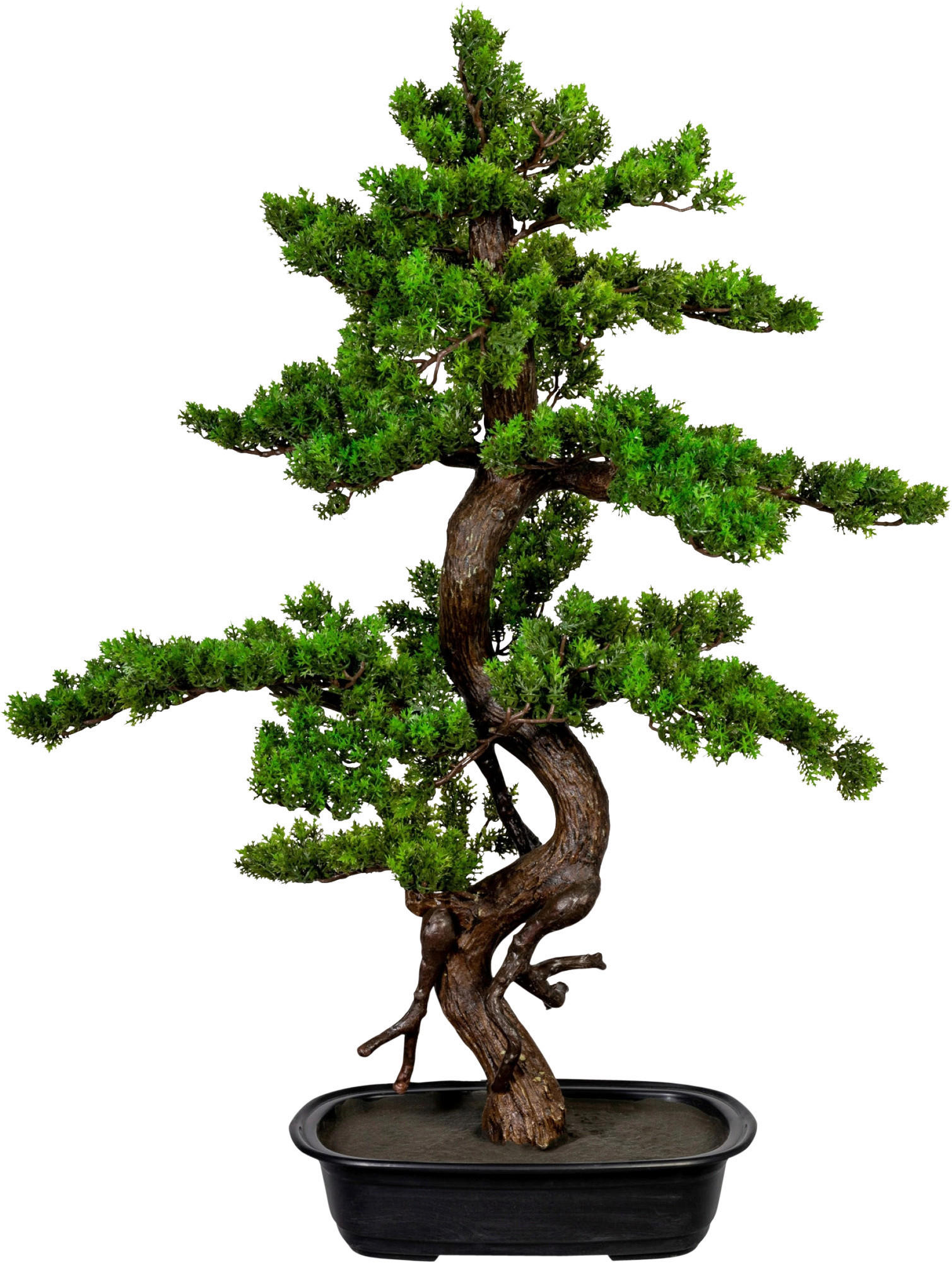 KUNSTPFLANZE Bonsai 85 cm  - Schwarz/Braun, Design, Kunststoff (85cm) - P & B