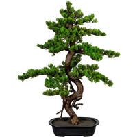 KUNSTPFLANZE Bonsai 85 cm  - Schwarz/Braun, Design, Kunststoff (85cm) - P & B