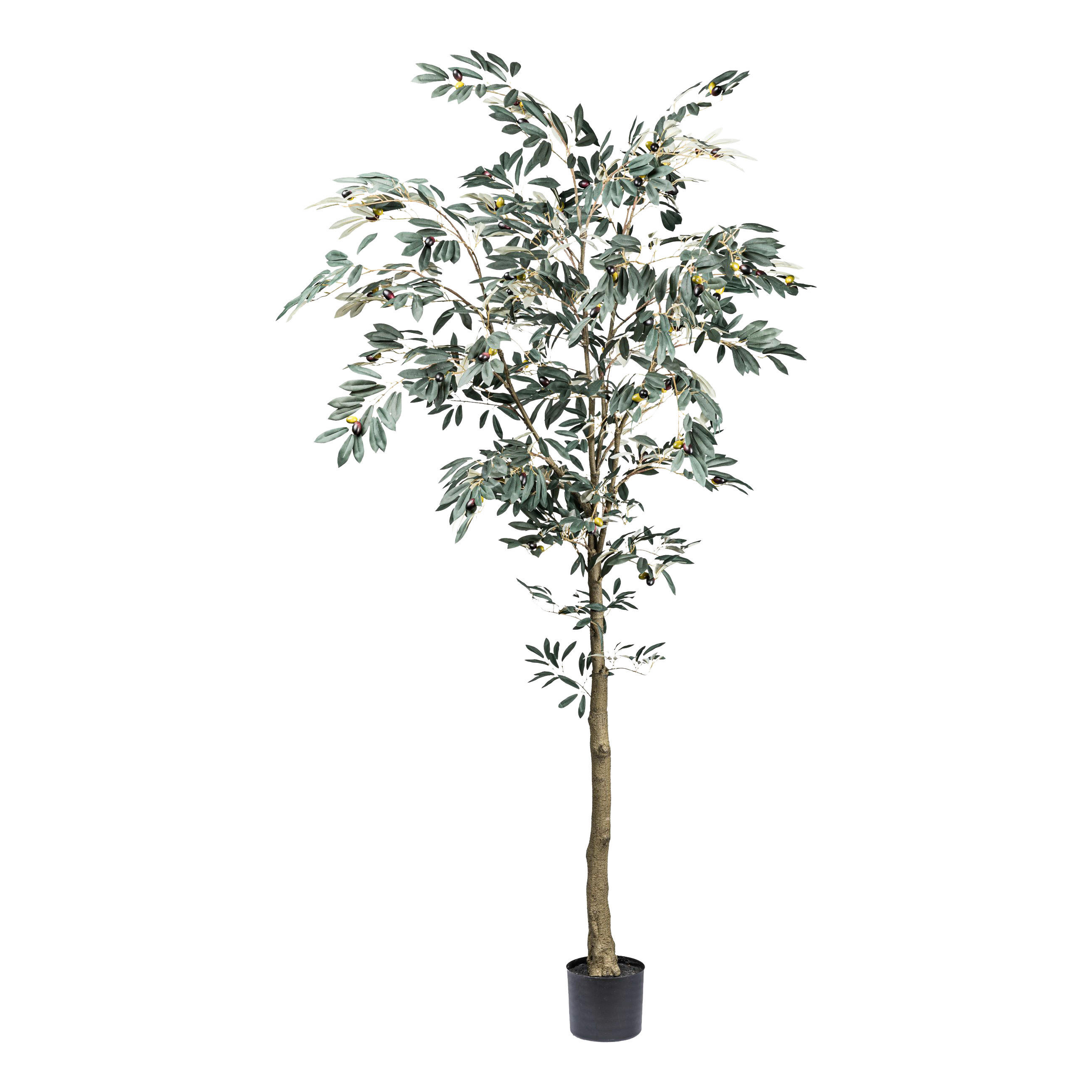 KUNSTPFLANZE Olive 210 cm  - Schwarz/Braun, Design, Kunststoff (210cm) - P & B