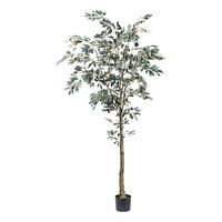 KUNSTPFLANZE Olive 210 cm  - Schwarz/Braun, Design, Kunststoff (210cm) - P & B