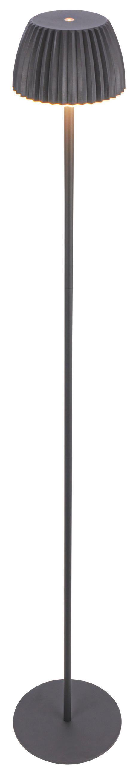 AKKU-STEHLEUCHTE 19/123,5 cm    - Schwarz, Basics, Kunststoff/Metall (19/123,5cm)