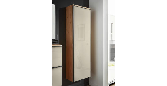 GARDEROBENSCHRANK  in 54/170/31 cm  - Eichefarben/Anthrazit, Design, Glas/Holz (54/170/31cm) - Dieter Knoll