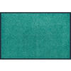 FUßMATTE 40/60 cm Salvia Green  - Salbeigrün, KONVENTIONELL, Kunststoff/Textil (40/60cm) - wash+dry