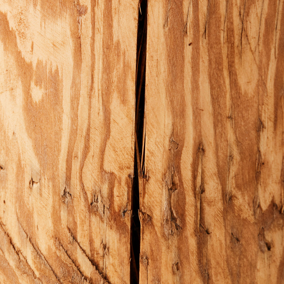 TISCHLEUCHTE - Kieferfarben, Natur, Holz (10/10cm) - Brilliant