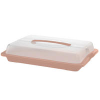 PARTYBUTLER - Klar/Hellrosa, KONVENTIONELL, Kunststoff (43,5/29,5/9cm) - Rotho