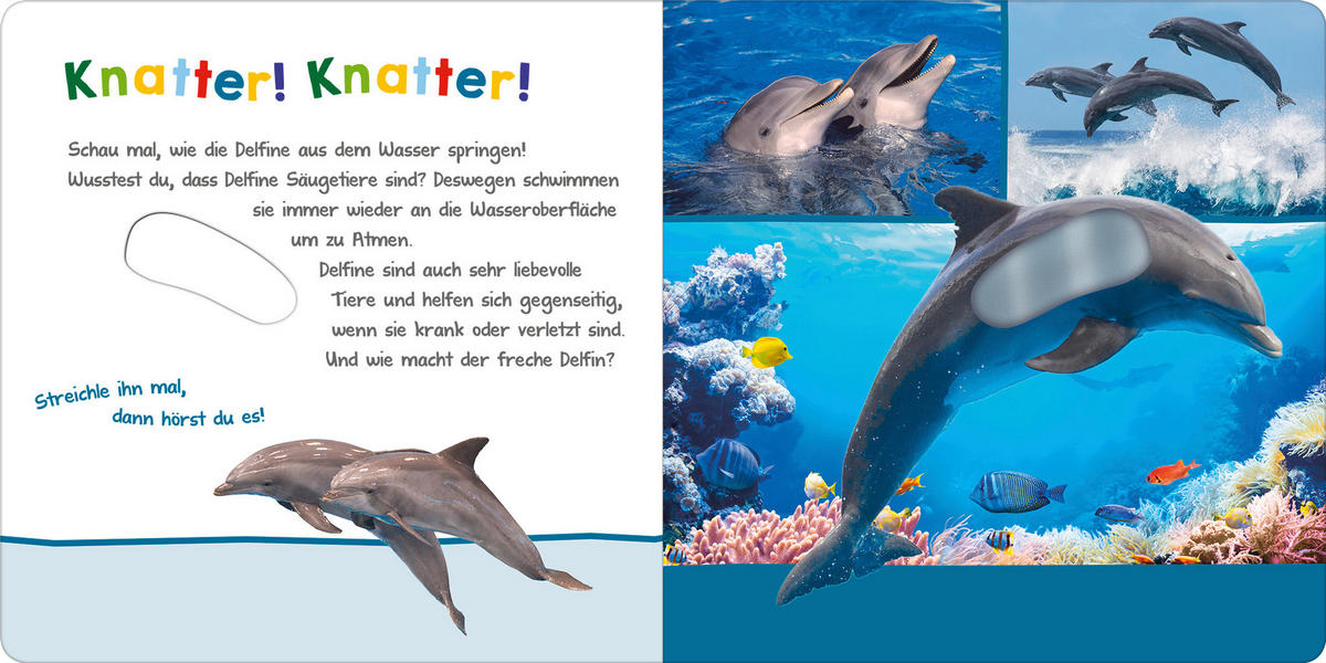 SOUND- UND FÜHLBUCH - Basics (19,7/19,7/1,8cm) - Carlsen