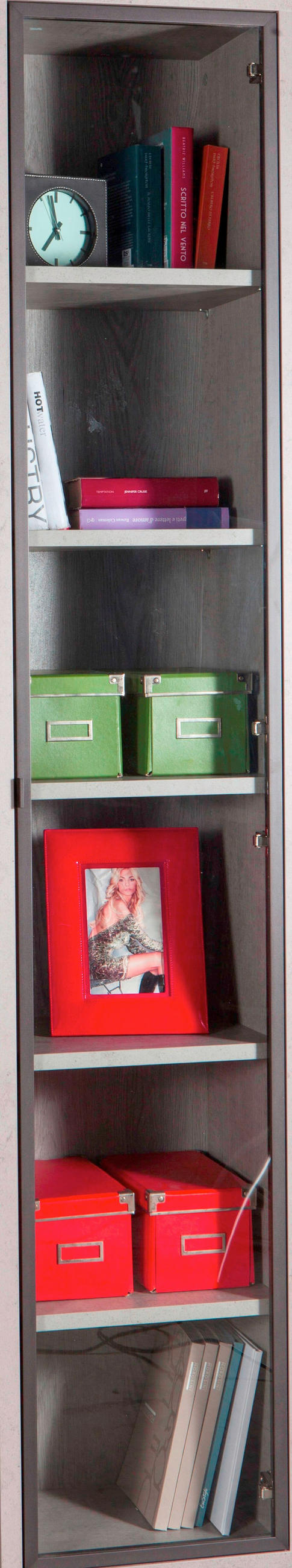 VRATA - antracit, Design, kovina/steklo (37/209/2cm) - Carryhome