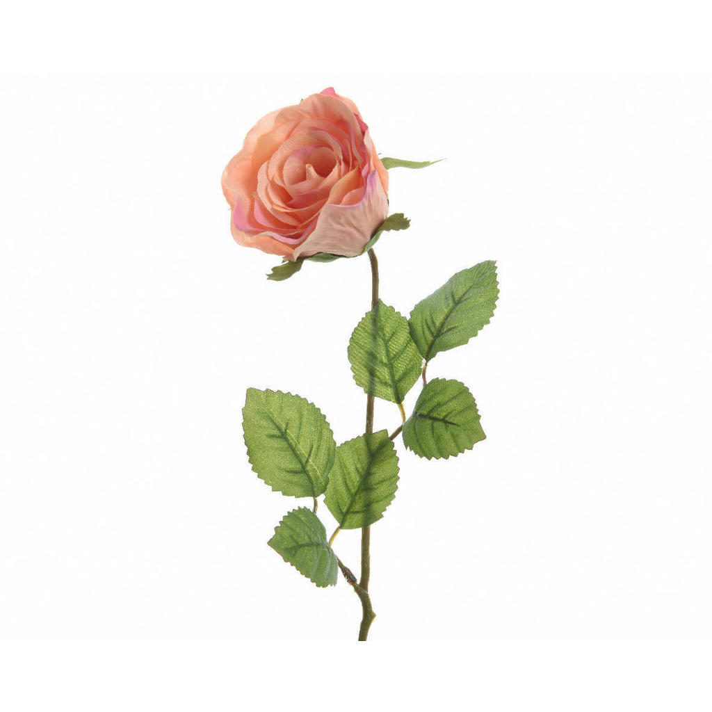 RUŽA 45 cm - staroružová