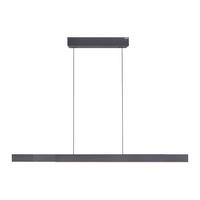 LED-HÄNGELEUCHTE Pure-Moto-Rise 200/8,2/240 cm  - Schwarz, Design, Kunststoff/Metall (200/8,2/240cm) - Neuhaus PURE