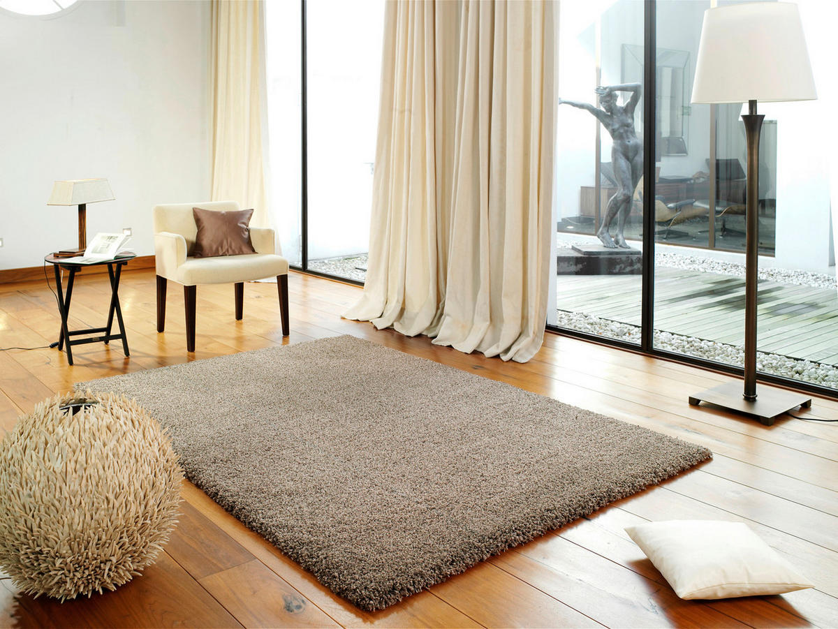 HOCHFLORTEPPICH  Wohnzimmer 200/250 cm FASHION SHAGGY Hellbraun rechteckig  - Hellbraun, Basics, Textil (200/250cm) - Novel