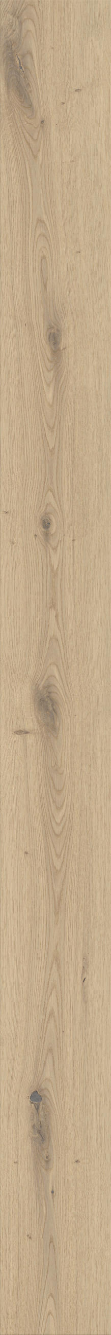 Landhausdiele Bergeiche pure  per  m² - Eichefarben/Weiß, Trend, Holz (180/17,5/1,1cm) - Waldwelt