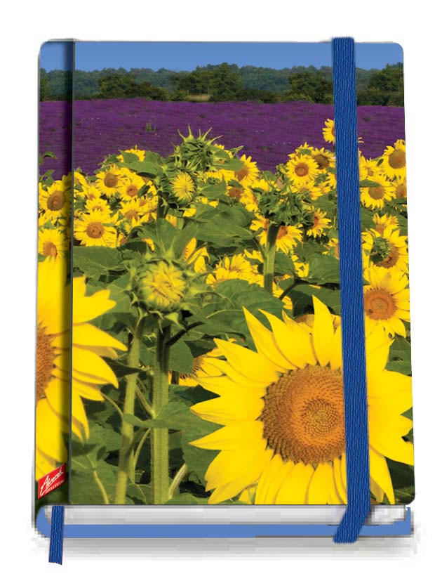 ZÁPISNÍK - Basics, papier (13/18cm)