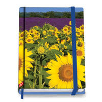 ZÁPISNÍK - Basics, papier (13/18cm)