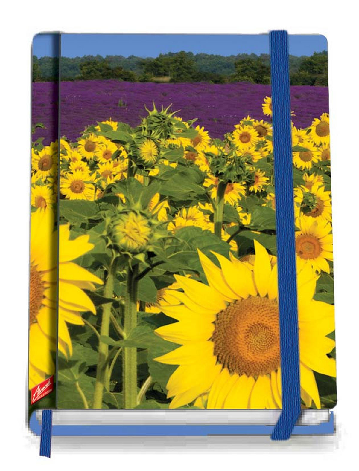 ZÁPISNÍK - Basics, papier (13/18cm)