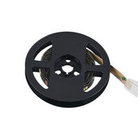 LED PÁSIK, 300 cm - čierna, Basics, plast (300cm)