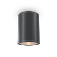 AUSSENDECKENLEUCHTE - Graphitfarben, Trend, Metall (9/11,5cm) - MAYTONI