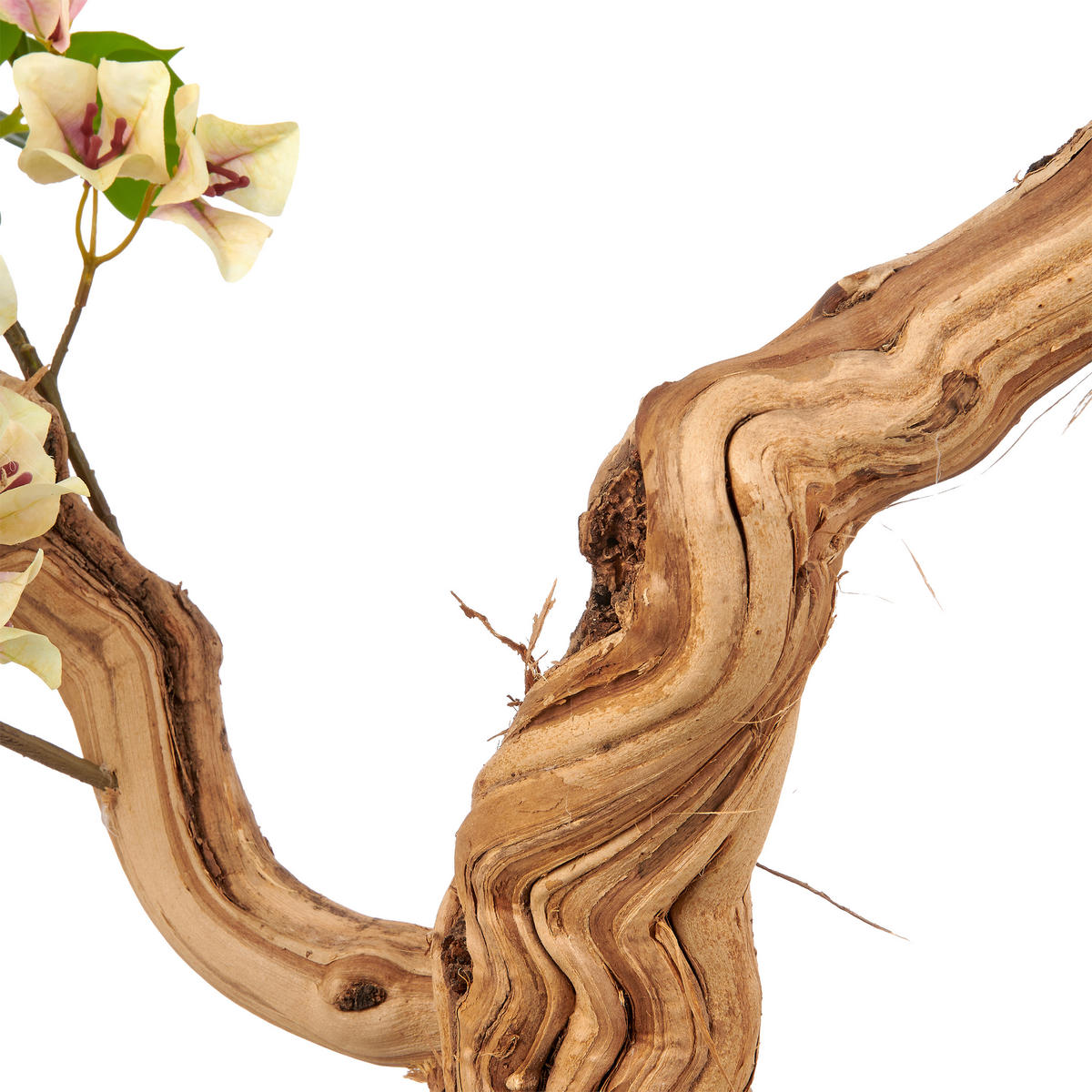 KUNSTBLUME Bougainvillea  - Creme/Schwarz, Basics, Holz/Kunststoff (130cm)