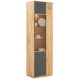 VITRINE in massiv Wildeiche Anthrazit, Eichefarben  - Eichefarben/Anthrazit, Design, Glas/Holz (61/205/40cm) - Waldwelt