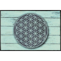 FUßMATTE 50/75 cm Pattern Of Life  - Hellgrün/Grau, Design, Kunststoff/Textil (50/75cm) - wash+dry