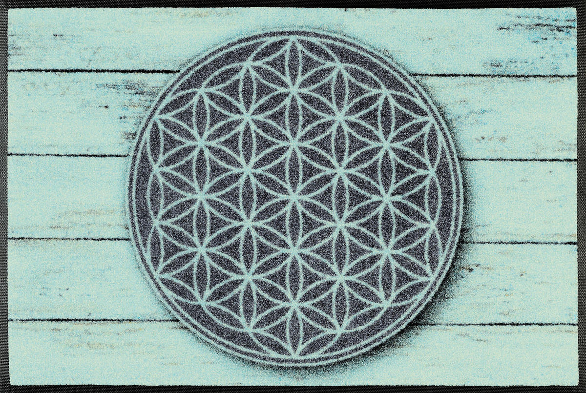 FUßMATTE 50/75 cm Pattern Of Life  - Hellgrün/Grau, Design, Kunststoff/Textil (50/75cm) - wash+dry