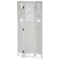 PARAVÁN, 121/2/171 cm - čiré, Basics, dřevo (121/2/171cm)