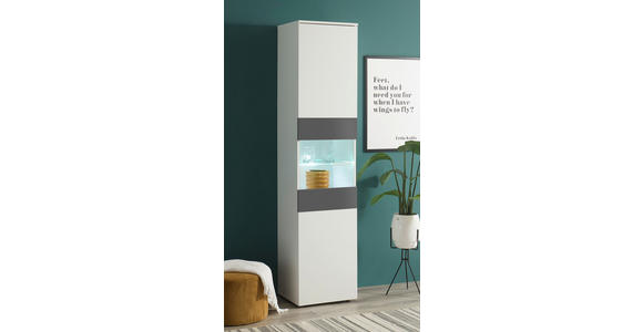 VITRINE  in Graphitfarben, Weiß  - Alufarben/Graphitfarben, MODERN, Glas/Holzwerkstoff (45/195/37cm) - Carryhome