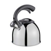 WASSERKESSEL  - Edelstahlfarben, Basics, Metall (19,5/24,5cm) - Cilio