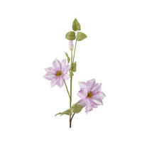 UMETNA RASTLINA - barve slive, Basics, umetna masa (62cm)