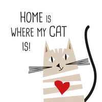 SERVIETTE    - Multicolor, Basics, Papier (17.5/17.5cm) - PPD