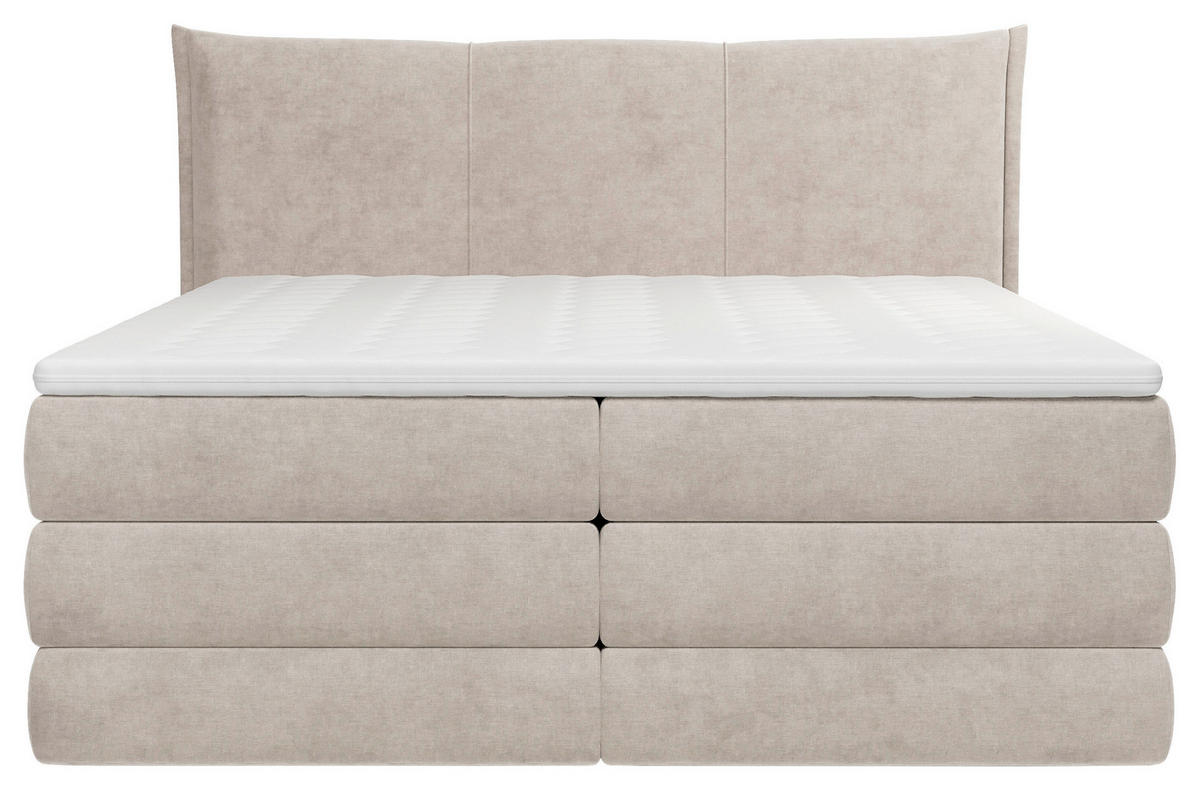 BOXSPRINGBETT 160/200 cm  Beige  - Beige/Schwarz, Modern, Holz/Holzwerkstoff (160/200cm) - MID.YOU