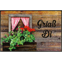 FUßMATTE  50/75 cm  Multicolor  - Multicolor, Basics, Kunststoff/Textil (50/75cm) - wash+dry