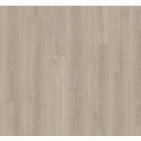 VINYLBODEN Vinyl Basic 5.3  per  m² - Eichefarben, Basics, Kunststoff (120.9/22.5/0.53cm) - Parador