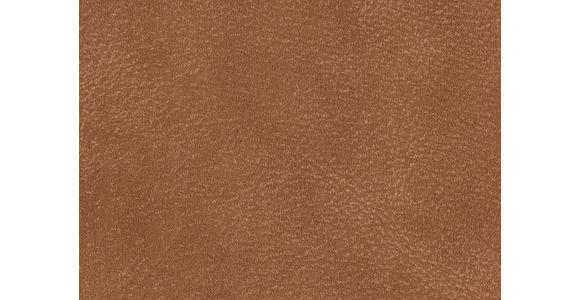 WOHNLANDSCHAFT in Echtleder Hellbraun - Hellbraun/Schwarz, Natur, Leder/Metall (155/359/217cm) - Dieter Knoll
