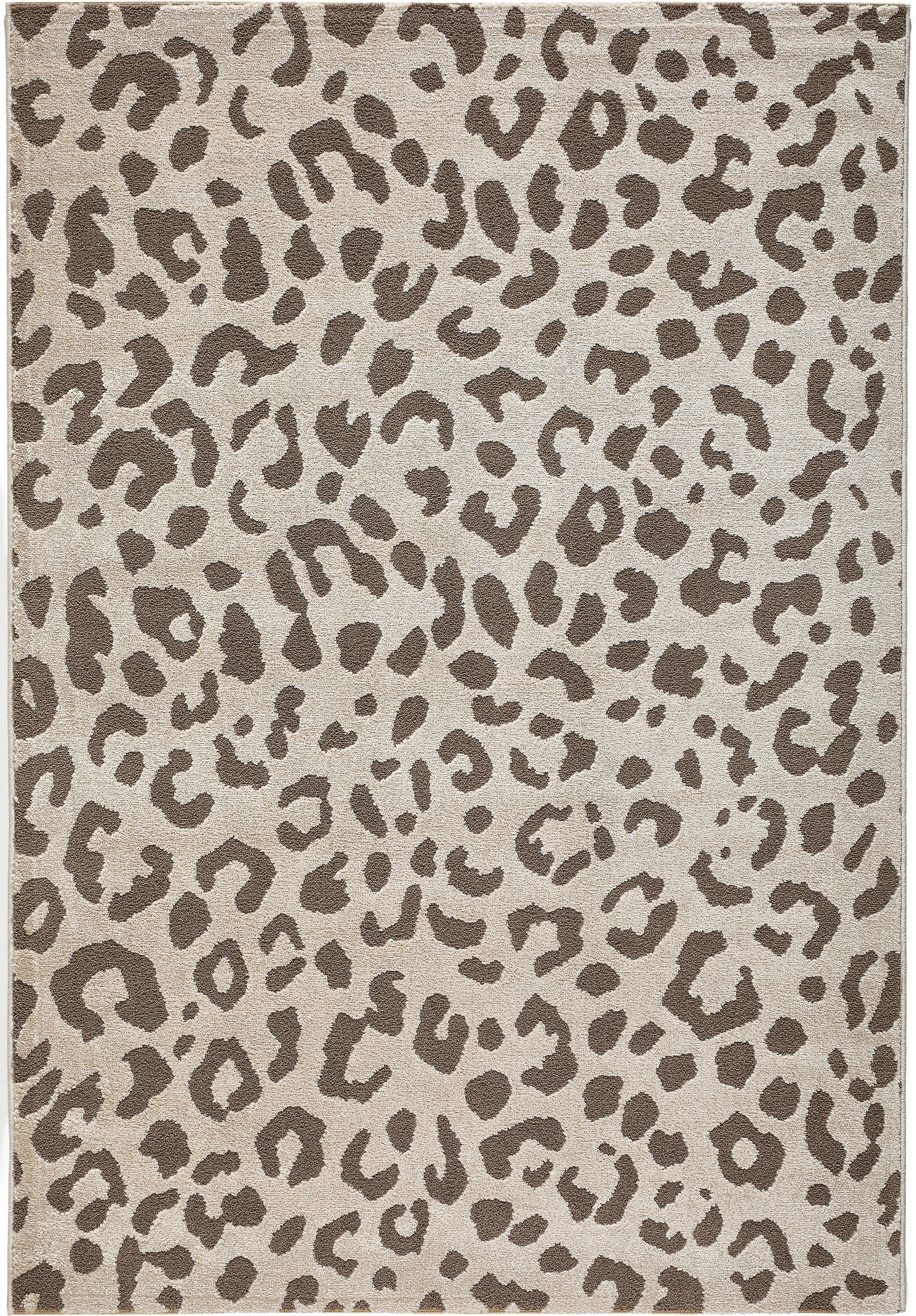 WEBTEPPICH Wohnzimmer 160/230 cm ALBA Taupe, Beige rechteckig  - Taupe/Beige, Design, Textil (160/230cm) - Novel
