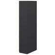 AKTENSCHRANK Anthrazit, Hickory  - Anthrazit/Hickory, KONVENTIONELL, Holzwerkstoff (80/220,5/41,9cm) - Moderano