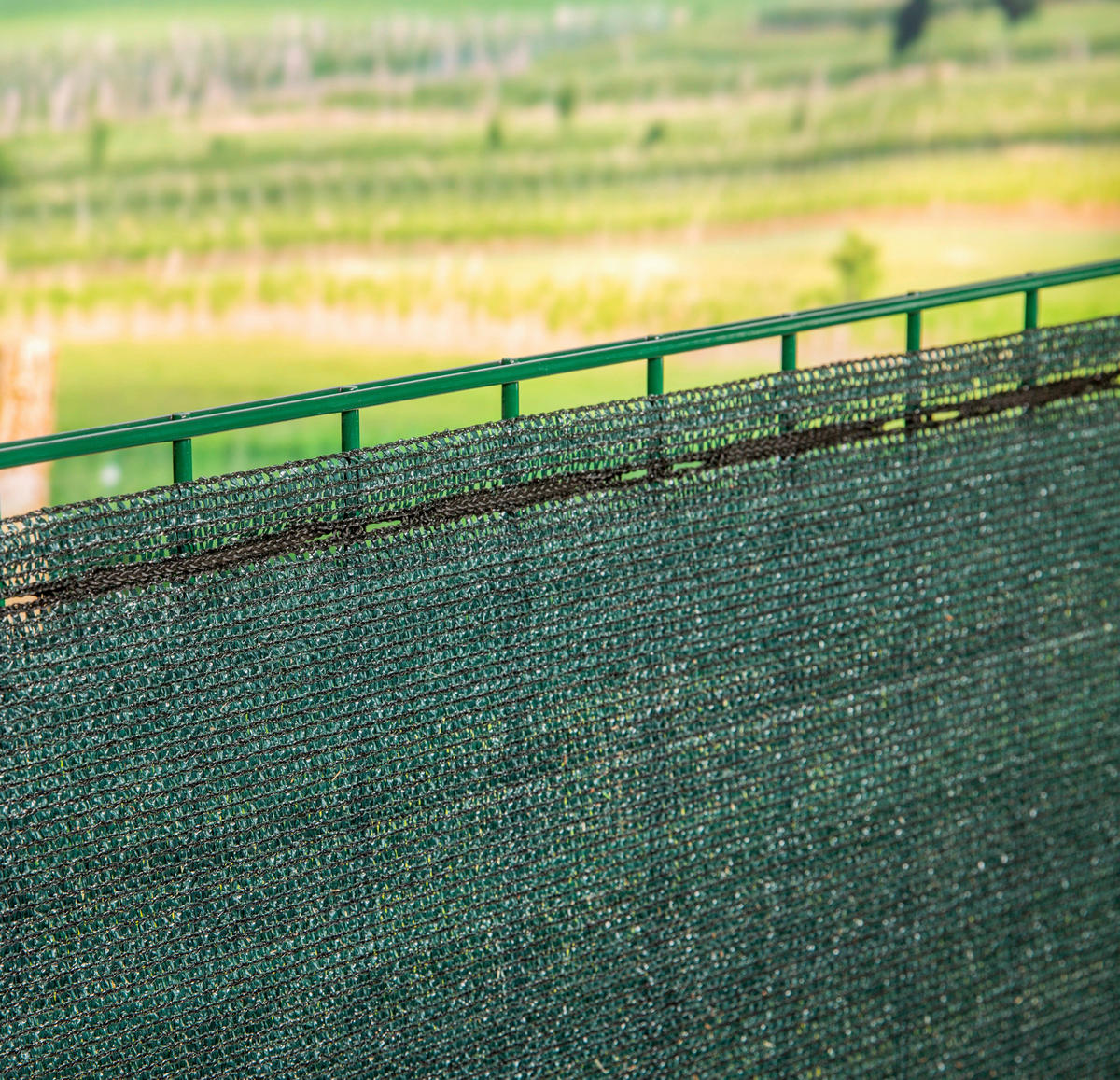 SICHTSCHUTZ - Grün, Basics, Kunststoff (300/100cm)