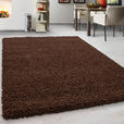 HOCHFLORTEPPICH 60/110 cm Life 1500 Braun  - Braun, KONVENTIONELL, Textil (60/110cm) - Novel