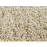 HOCHFLORTEPPICH 80/200 cm gewebt Creme - Creme, Basics, Textil (80/200cm) - Novel HOCHFLORTEPPICH 80/200 cm gewebt Creme - Creme, Basics, Textil (80/200cm) - Novel