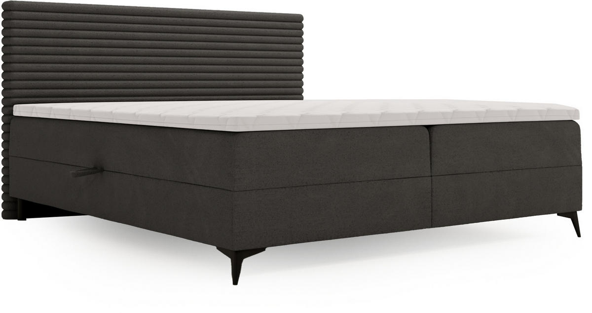 BOXBETT 160/200 cm  in Dunkelgrau  - Dunkelgrau/Schwarz, Design, Holz/Holzwerkstoff (160/200cm) - Xora