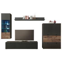 DNEVNI REGAL,  rjava, siva  - siva/črna, Design, umetna masa/steklo (310/195/40cm) - Carryhome