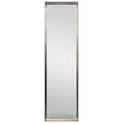WANDSPIEGEL 38/138/4,3 cm    in rechteckig  - Silberfarben/Schwarz, Design, Glas/Holz (38/138/4,3cm) - Xora