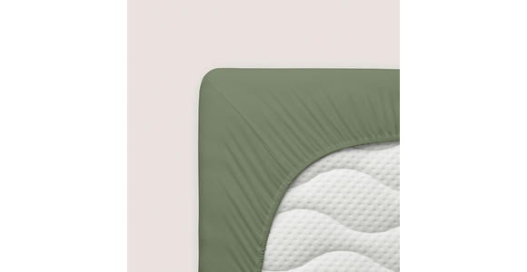 SPANNLEINTUCH 150/200 cm Jersey - Dunkelgrün, Basics, Textil (150/200cm) - Novel
