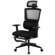 CHEFSESSEL  in Netzbespannung Schwarz  - Schwarz, KONVENTIONELL, Kunststoff/Textil (70/117,5/125/69cm) - Novel
