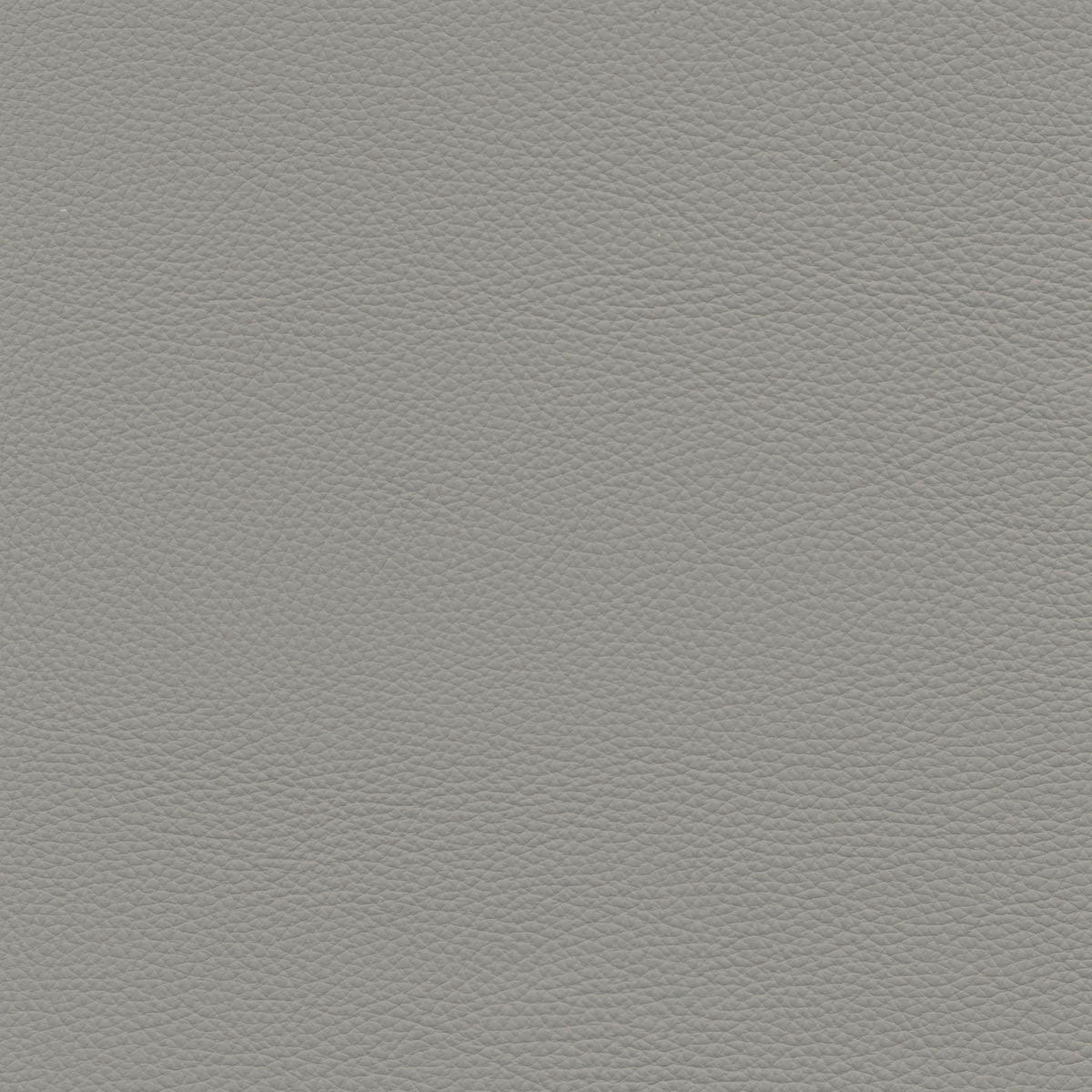 3-SITZER-SOFA in Leder Hellgrau  - Hellgrau, Design, Leder/Metall (215/90/109cm)