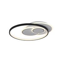 STROPNÉ LED SVIETIDLO, 55/48/6 cm - Design, kov/plast (55/48/6cm)