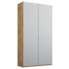 DREHTÜRENSCHRANK 2-türig Grau, Eichefarben  - Eichefarben/Alufarben, Trend, Holzwerkstoff/Metall (101/223/60cm) - Stylife