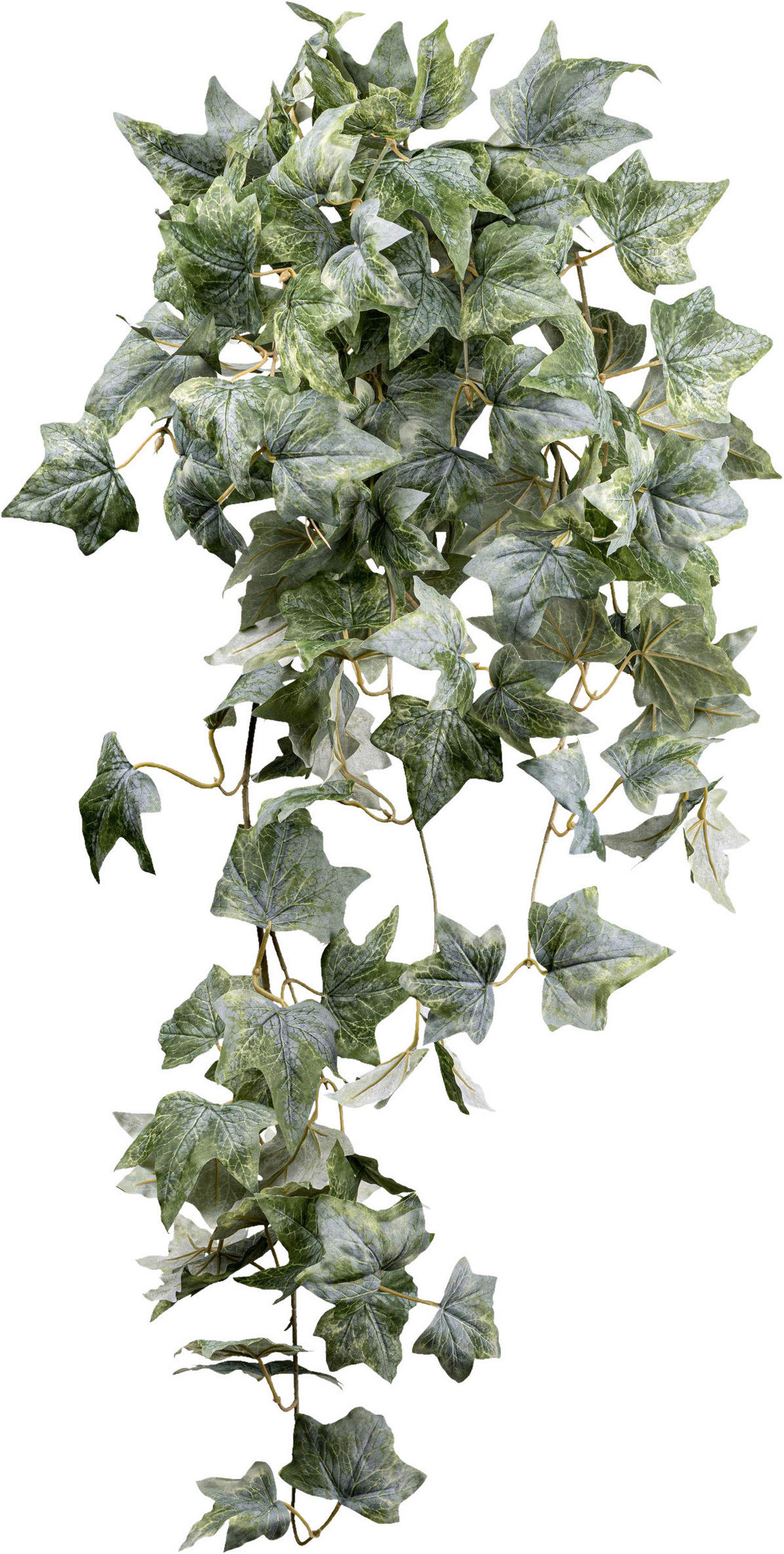 KUNSTPFLANZE Efeu 96 cm  - Grau/Grün, Design, Kunststoff (96cm) - P & B